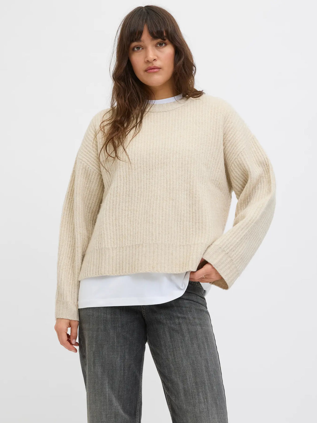 0833 JXSIGGA DIVERSE CREW NECK KNIT
