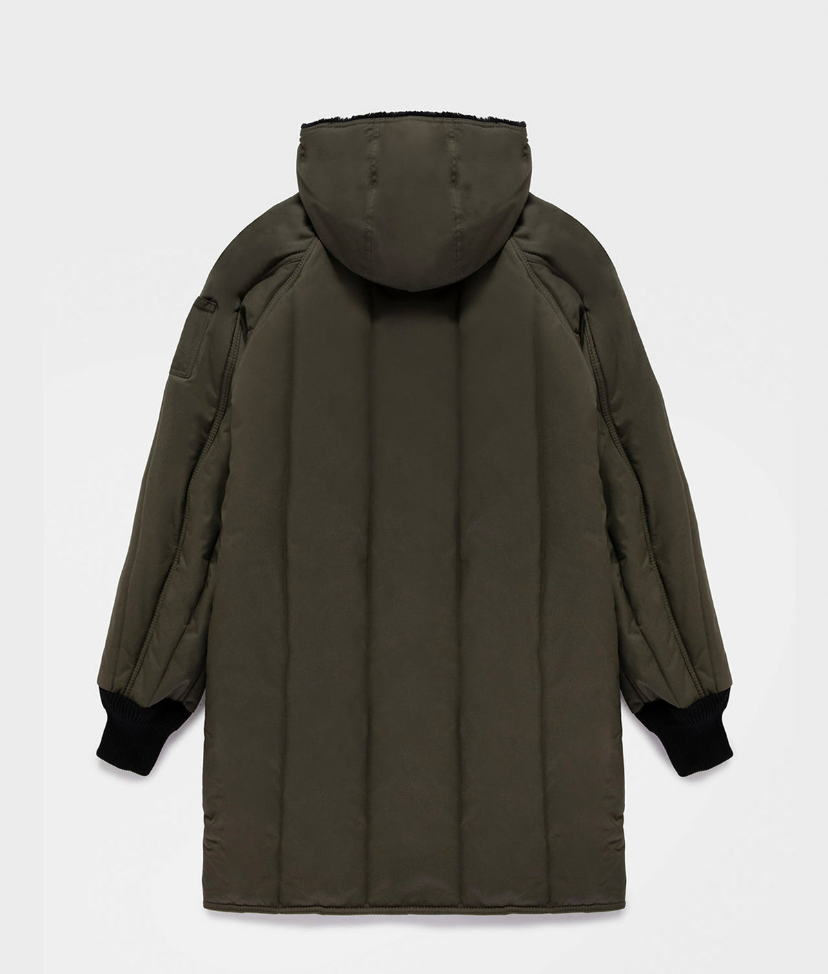ORIGINAL PARKA · sea turtle