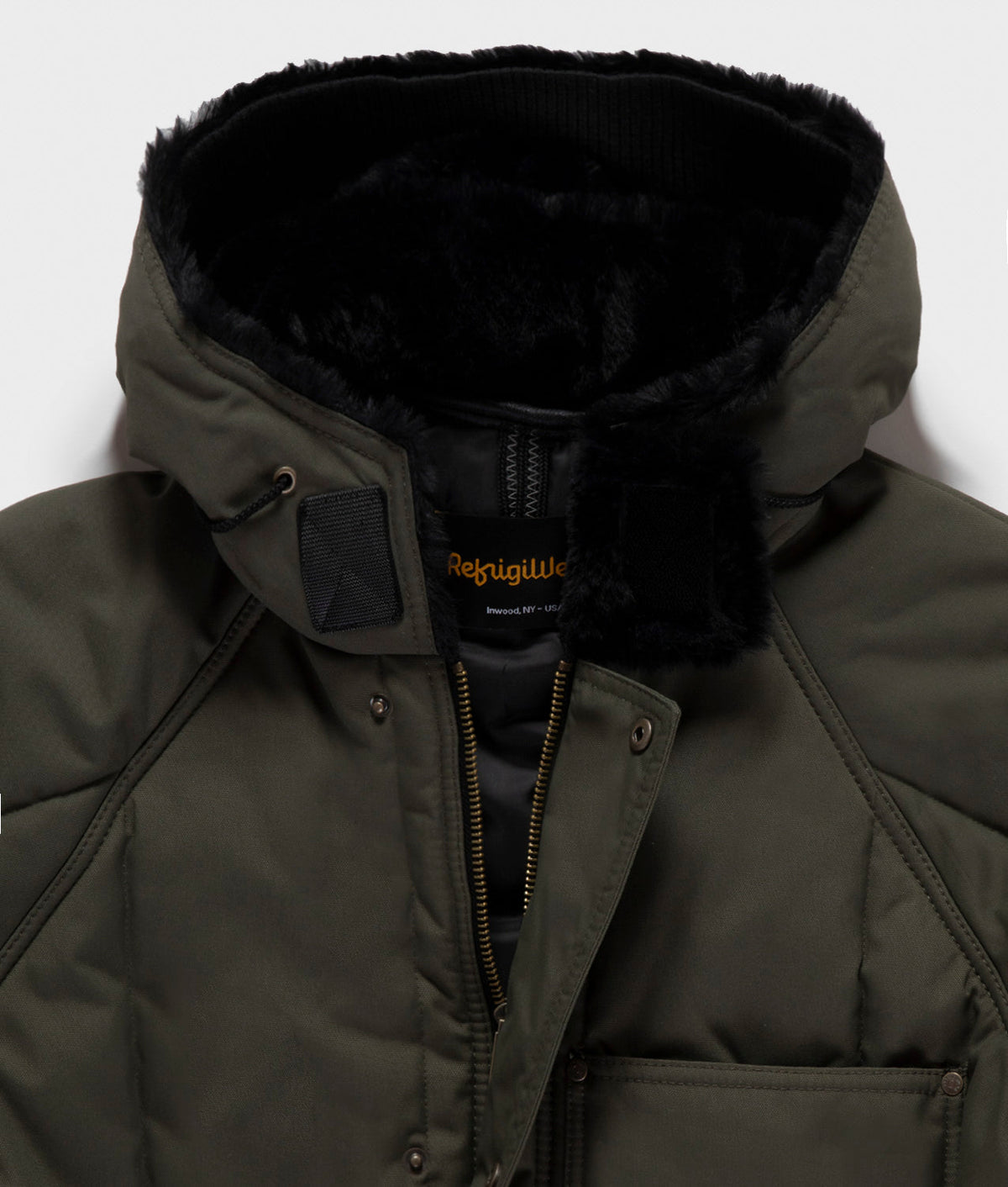 ORIGINAL PARKA · sea turtle