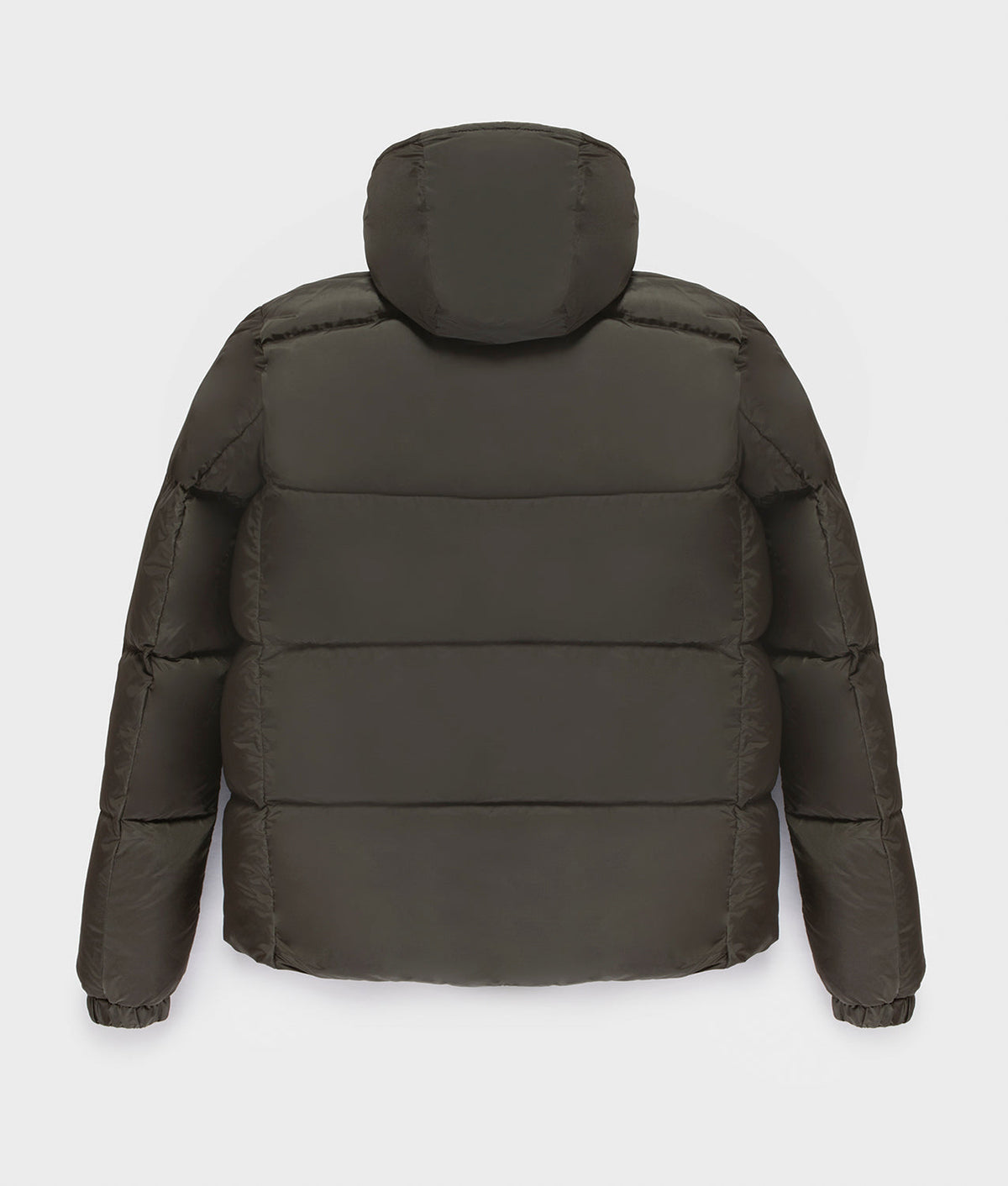 SEEK JACKET · SEA TURTLE