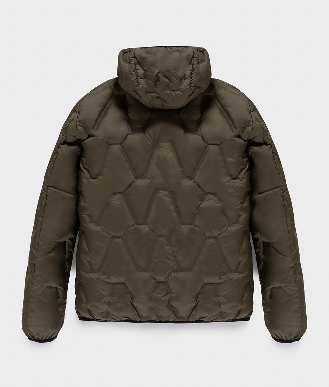 GRAPHITE JACKET · sea turtle