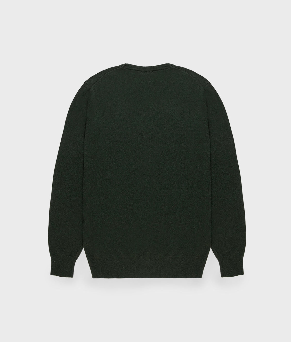 COLIN/1 PULLOVER · SEA TURTLE
