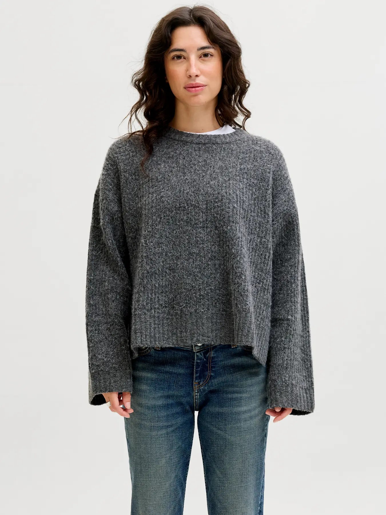 0833 JXSIGGA DIVERSE CREW NECK KNIT