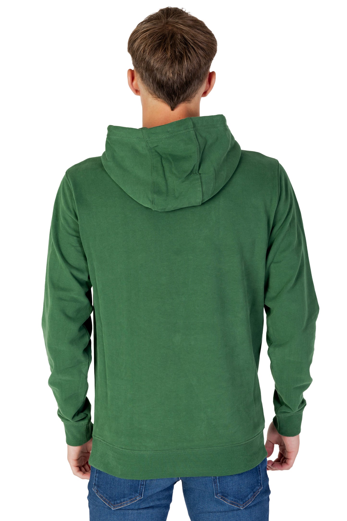 Felpa con cappuccio Tommy Hilfiger Jeans tjm reg arched logo Verde